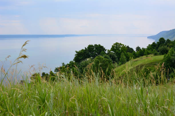 green hills with grass and trees and rainy sky with river on background