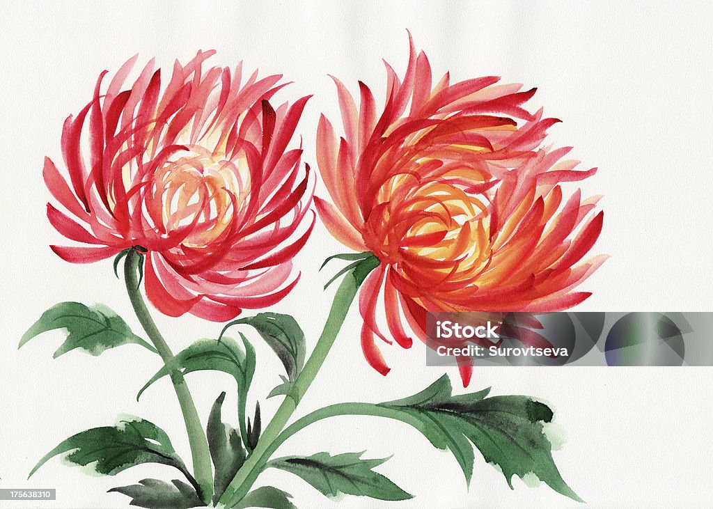 Chrysanthemum flower - Стоковые иллюстрации Ink and Brush роялти-фри