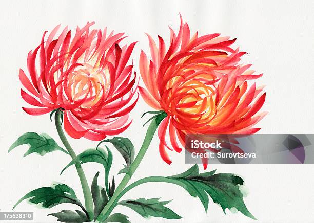 Chrysanthemum Flower — стоковая векторная графика и другие изображения на тему Ink and Brush - Ink and Brush, Азиатская культура, Акварельная живопись