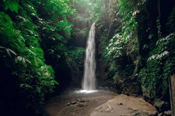 istock Beautiful waterfall in tropical rainforest in Bali, Indonesia 1756401890