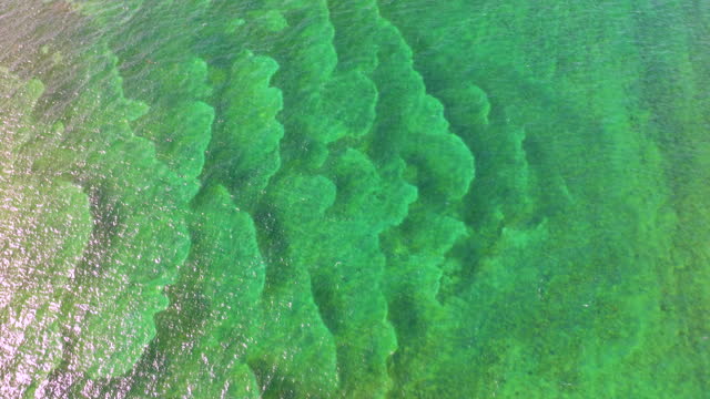 Aerial view of ocean surface and underwater coral reef near Miami, Florida