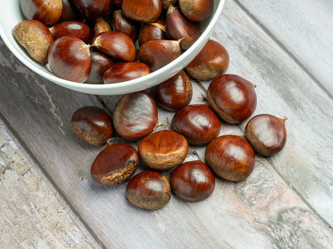 chestnuts vintage background - harvesting chestnut in forest with basket in autumn foliage blur ground .