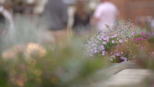 Gentle flowers and grass in outside pot in city street with blurred walking people on background at evening