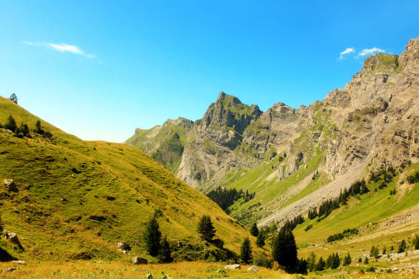 istock Mountain landscape with green slopes and mountain peaks. 1756425517