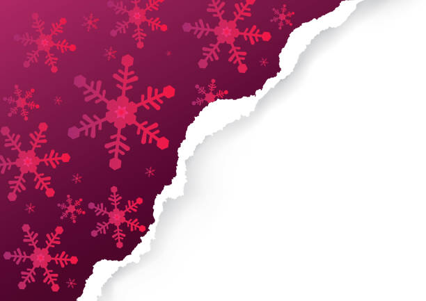 Christmas ripped paper, red background. Illustration of violet purple paper background with snowflakes and place for your text or image. Vector available. red ripped paper stock illustrations