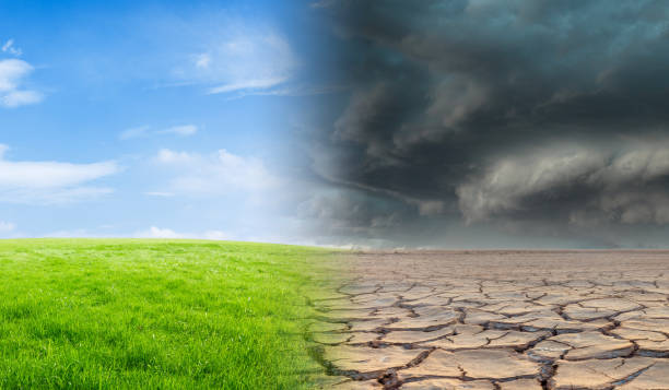 istock Landscape with green grass with a tree and a dried desert. Global climate change concept. 1756429987