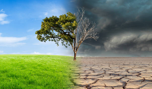 istock Landscape with green grass with a tree and a dried desert. Global climate change concept. 1756429991