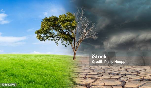 https://media.istockphoto.com/id/1756429991/photo/landscape-with-green-grass-with-a-tree-and-a-dried-desert-global-climate-change-concept.jpg?s=612x612&w=is&k=20&c=XER_UzWCC6a0mdk4wSpQenvZ6wUGUkOvK_tJy-Zaknc=