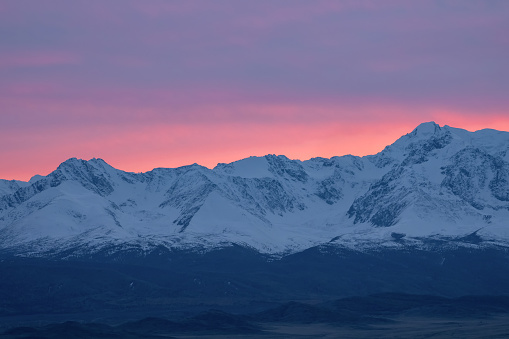 Soft pink light glides over the snow-capped peaks of the mountains in the early morning. Beautiful mountain landscape of the North Chui ridge, with snow-capped mountain peaks, beautiful pink glow.