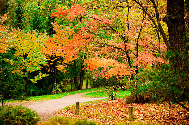 istock Autumn sketches in the park 175643909