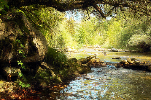 Picturesque shady river backwater of the mountain river Alando with large mossy boulders.
