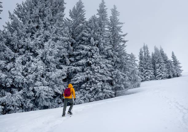 istock Lonely mountaineer dressed bright orange softshell jacket going up the snowy hill between spruces trees. Active people concept image on Velky Krivan, SLovakian Tatry. 1756448773
