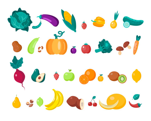 ilustraciones, imágenes clip art, dibujos animados e iconos de stock de alimentos ecológicos. un gran conjunto de varias frutas y verduras maduras - bean avocado radish nut