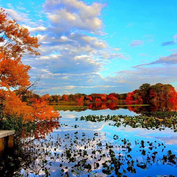 istock Autumn at the lake 1756502265