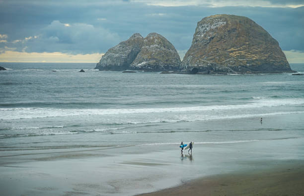 istock Seal Rock, Oceanside, Oregon 1756516760