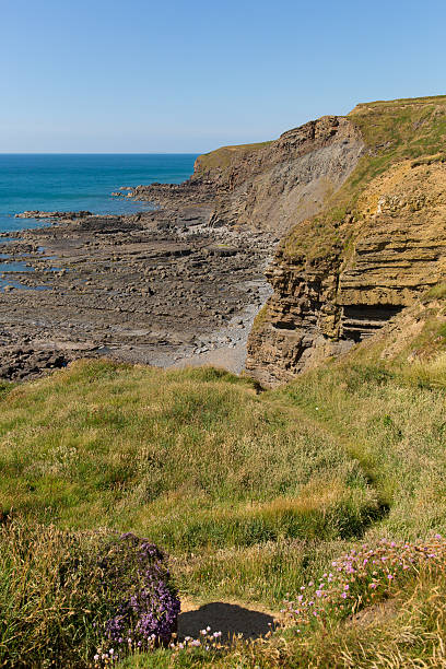 istock Water Cove Widemouth Bay near Bude Cornwall England 175652544