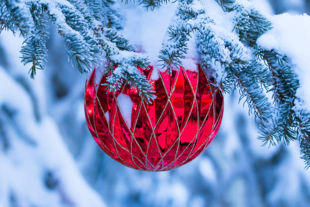 istock Christmas red bauble is on the fir tree snowy branch. 1756525886