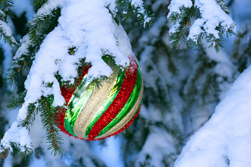 Large Christmas ball of geometric pattern with yellow, red, green stripes is hanging on the spruce tree branch covered with snow.