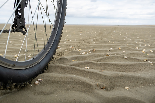 The wheel of a bicycle parked on a seashell-covered sandy beach, symbolizing the concept of biking in gloomy weather