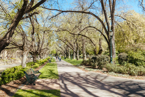 istock Rosalind Gardens in Bendigo Australia 1756567949