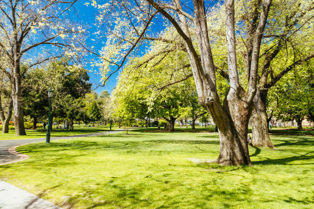 istock Rosalind Gardens in Bendigo Australia 1756568483
