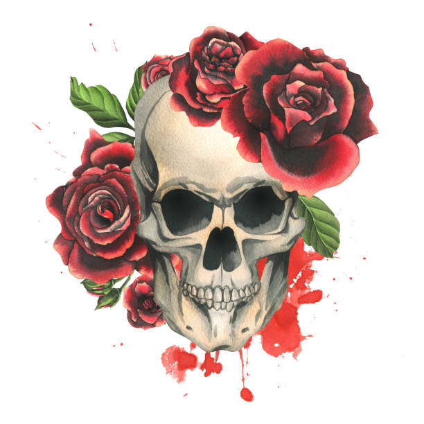 Human skulls with red roses and leaves. Hand drawn watercolor illustration. Isolated composition on a white background. Human skulls with red roses and leaves. Hand drawn watercolor illustration. Isolated composition on a white background clip art of a dead rose stock illustrations
