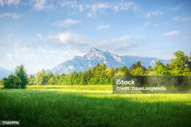 Photo libre de droit de Matin Dans Les Alpes banque d'images et plus d'images libres de droit de Alpes européennes - Alpes européennes, Arbre, Autriche