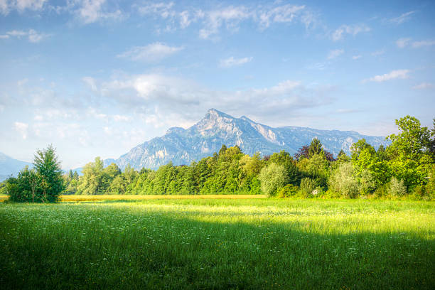 The mountain Untersberg in the Austrian Alps rises in the distance on a calm summer morning.