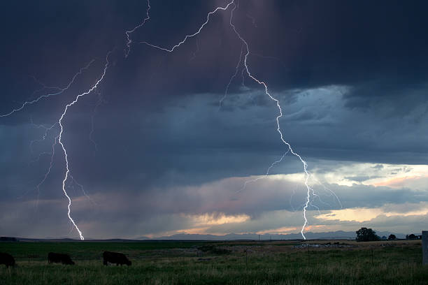 雷サージや牛牧草地に放牧地 - lightning thunderstorm flash storm ストックフォトと画像