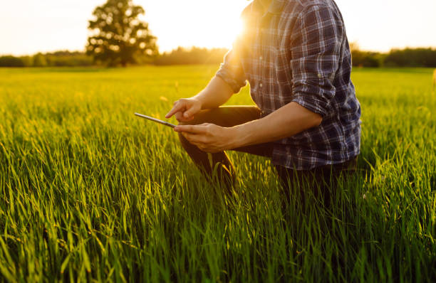istock Agronomist on a green field with a digital tablet in his hands. 1756626852