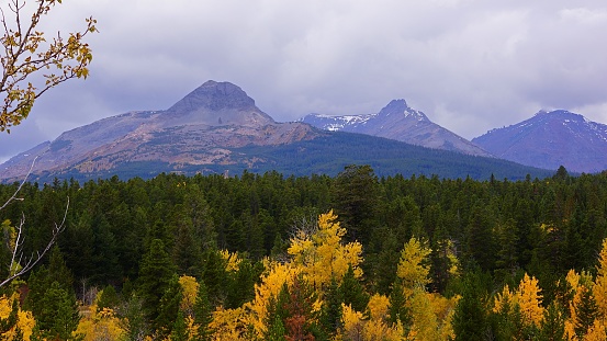 Orange and gold foliage mixed into the dark green Pine are seen in the foreground below Dancing Woman Mountain and the neighboring peaks.  Above, the sky is overcast with rain clouds.