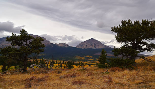 istock Autumn Near Divide Mountain 1756684671