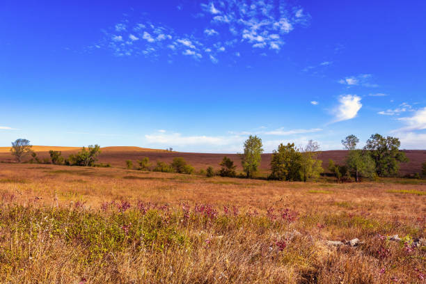 istock Tallgrass National Prairie Preserve 1756684694
