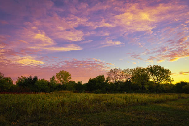 istock Flint Hills Morning II 1756684696