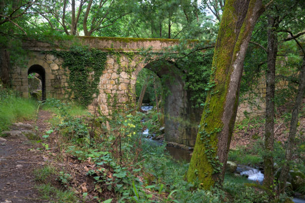 istock Stone bridge with moss and ivy over a horizontal river and trees in a humid area 1756687894