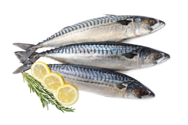 istock Raw mackerels, lemons and rosemary isolated on white, top view 1756688410