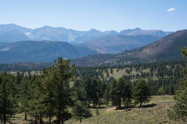 istock Upper Beaver Meadows in Rocky Mountain National Park 1756706243