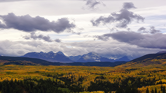 Storm clouds are passing over the distant mountains of Glacier National Park, Montana.  We see a dusting of snow accenting the rugged terrain of the iconic peaks. Vibrant gold and yellow foliage blankets the foreground, brightening the moody scene.