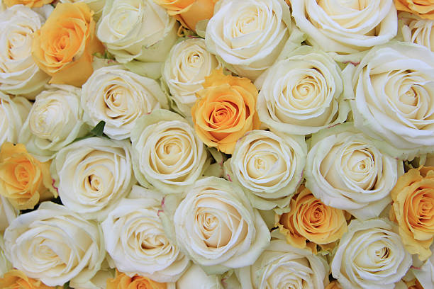 istock White and yellow roses in brdal flower arrangement 175673409