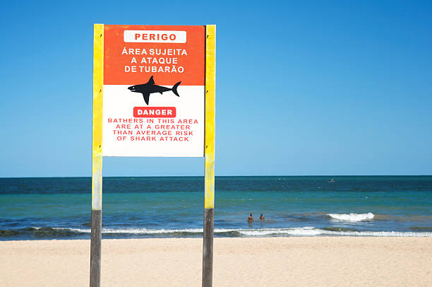 istock Danger Brazilian Shark Attack Sign Clear Sky Beach Brazil 175674017