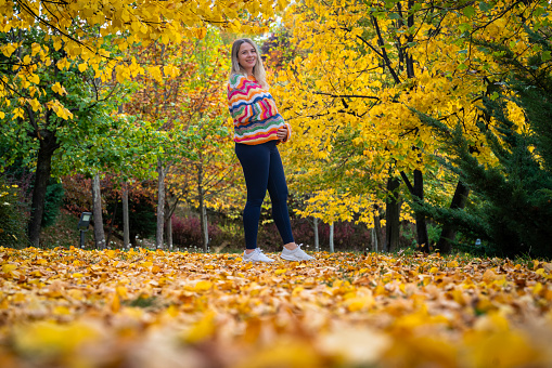 Beautiful pregnant woman walking among yellowed trees in autumn. wearing a loose colourful sweater. woman with blonde hair. Taken in daylight with a full frame camera.
