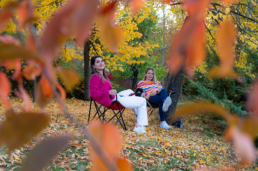Pregnant woman and her friend spend time together sitting on camping chairs among yellowed trees in autumn.. wearing a loose colourful sweater. woman with blonde hair. Taken in daylight with a full frame camera.