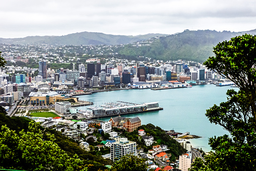 Wellington city and bay, New Zealand, with residential houses, harbor and modern downtown buildings