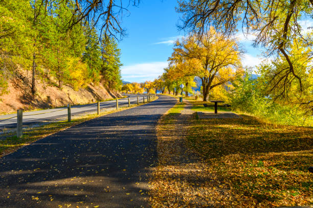 istock Autumn view with fall colors on the leaves along the tree lined Centennial Trail path as it makes it's way along the lake near Silver Beach in Coeur d'Alene, Idaho USA. 1756777710