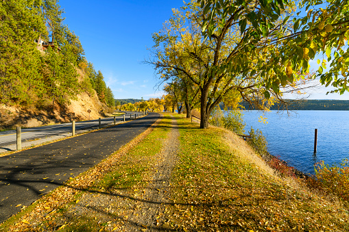 Autumn view with fall colors on the leaves along the tree lined Centennial Trail path as it makes it's way along the lake near Silver Beach in Coeur d'Alene, Idaho USA. The North Idaho Centennial Trail is 23 miles long, extending from the Idaho/Washington state line to Higgins Point, 6 miles east of Coeur d’Alene at the end of Coeur d’Alene Lake Drive.