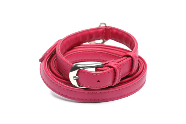 istock Red leather dog leash isolated on white, closeup 1756779279