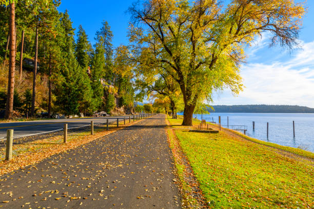 istock Autumn view with fall colors on the leaves along the tree lined Centennial Trail path as it makes it's way along the lake and highway, near Silver Beach in Coeur d'Alene, Idaho USA. 1756783571