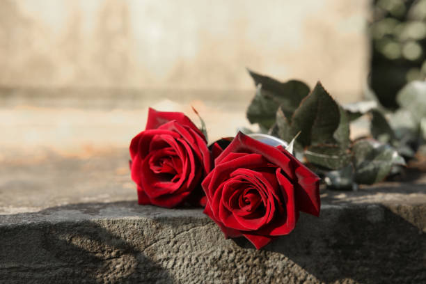 Red roses on grey tombstone outdoors, space for text. Funeral ceremony