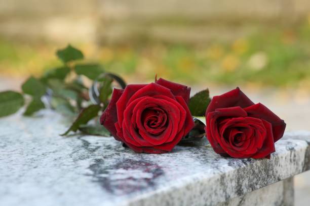 istock Red roses on granite tombstone outdoors. Funeral ceremony 1756783891