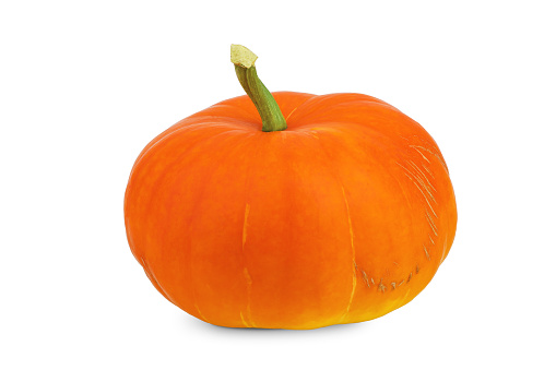 Group of orange color pumpkins isolated on the white background with clipping path